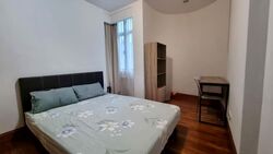 Valley Park (D10), Condominium #539339121